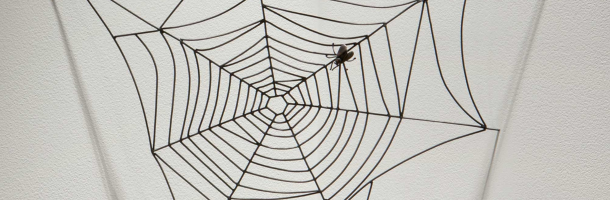 the spider louise bourgeois