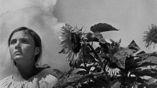 kuleshov sphinx cinema mubi